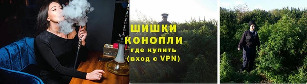 шишки Козловка