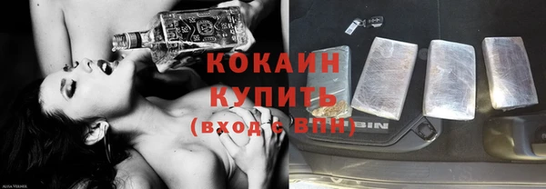 шишки Козловка