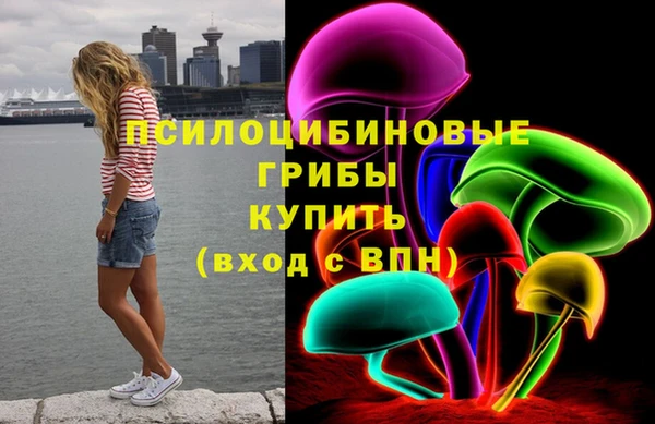 шишки Козловка