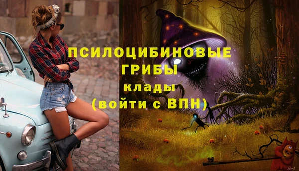 винт Кодинск