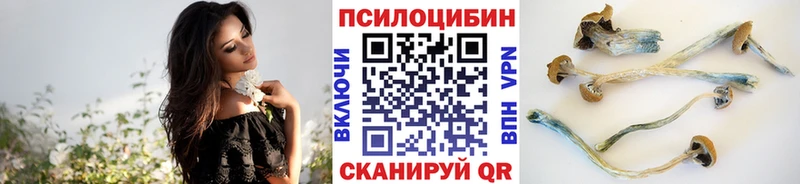 Купить  Горнозаводск  Псилоцибиновые грибы GOLDEN TEACHER 